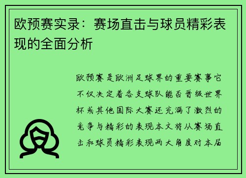 欧预赛实录：赛场直击与球员精彩表现的全面分析