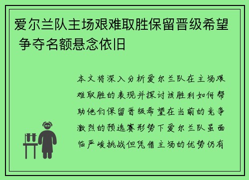 爱尔兰队主场艰难取胜保留晋级希望 争夺名额悬念依旧